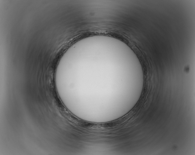 X0000116850747200912220941