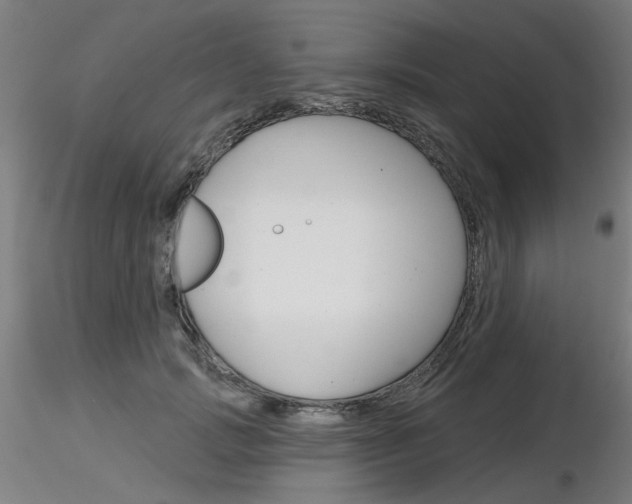 X0000116850749200912220941