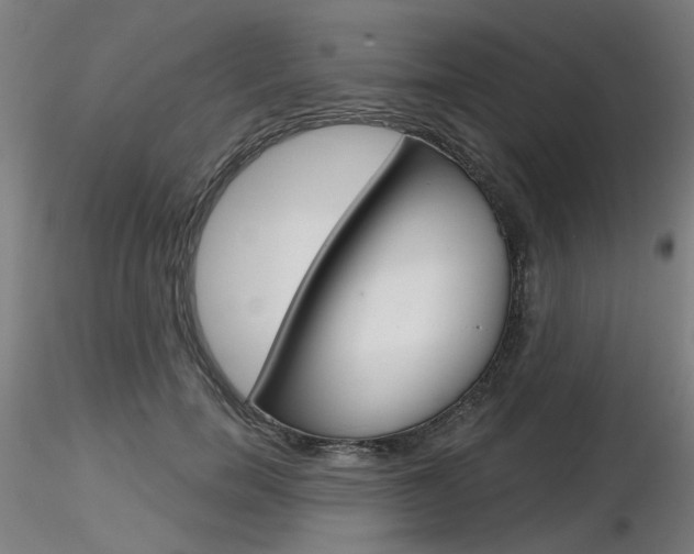 X0000116850750200912220941