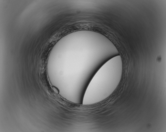 X0000116850751200912220941