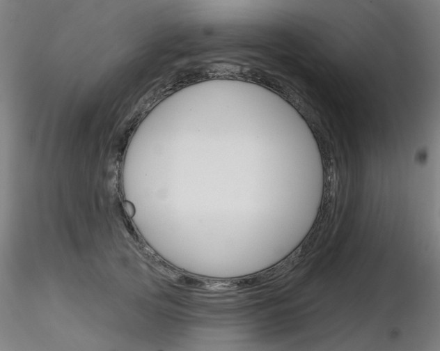 X0000116850753200912220941