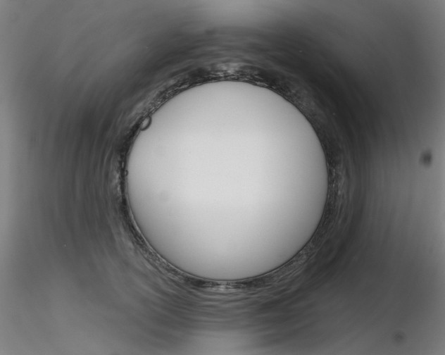 X0000116850754200912220941