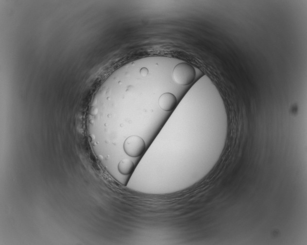 X0000116850755200912220941