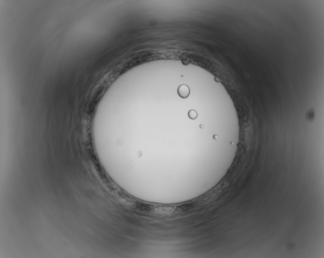X0000116850757200912220941