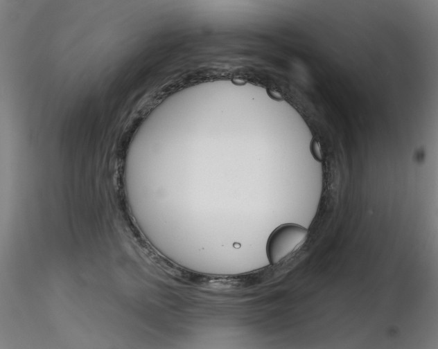 X0000116850758200912220941