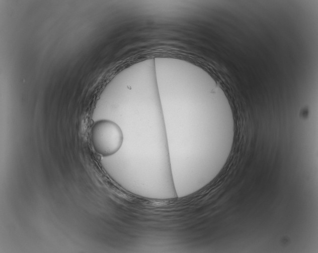 X0000116850759200912220941