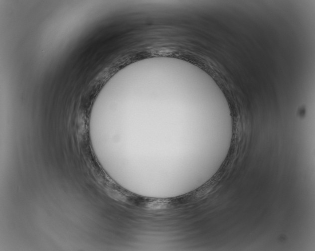X0000116850761200912220941