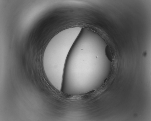 X0000116850762200912220941