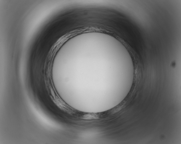 X0000116850765200912220942