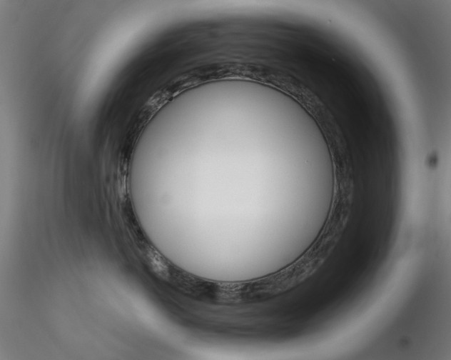 X0000116850766200912220942