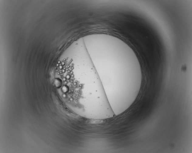 X0000116850767200912220942