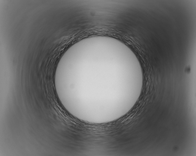 X0000116850769200912220941