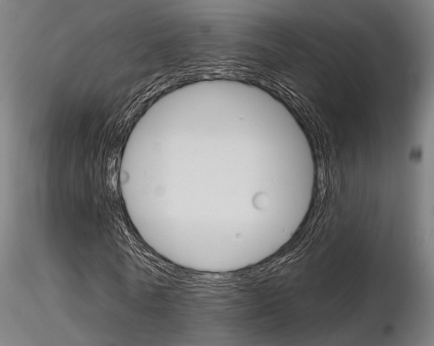 X0000116850770200912220941