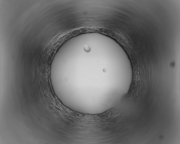 X0000116850773200912220941