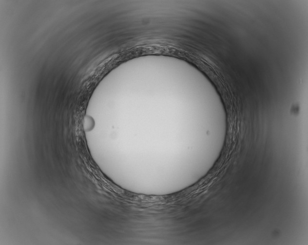 X0000116850774200912220941