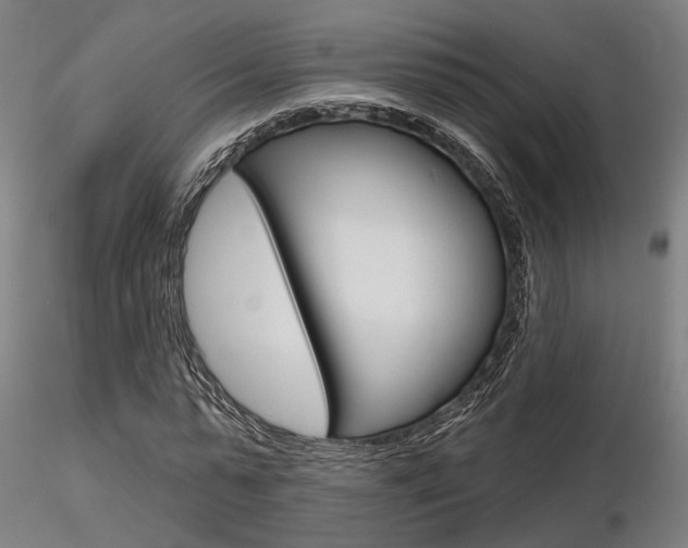 X0000116850775200912220941