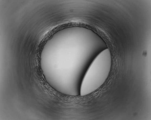 X0000116850776200912220941