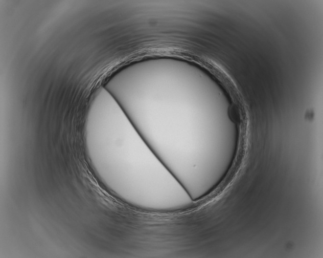 X0000116850777200912220941