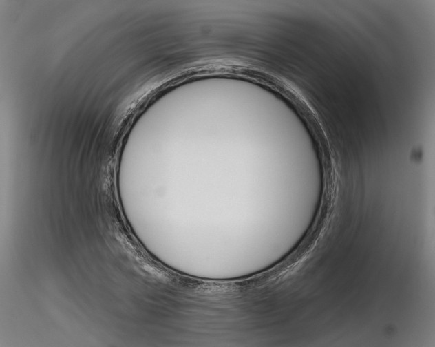 X0000116850778200912220941
