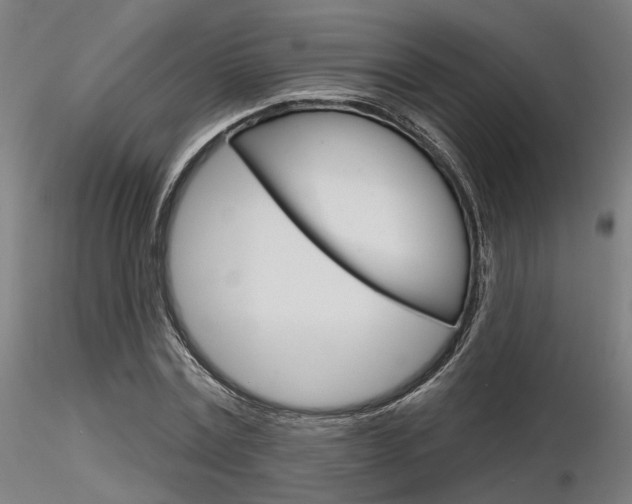 X0000116850779200912220941