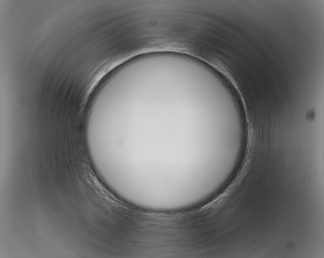 X0000116850781200912220941