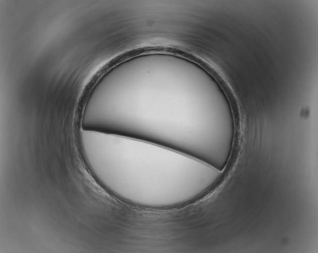 X0000116850783200912220941