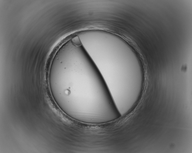 X0000116850784200912220941