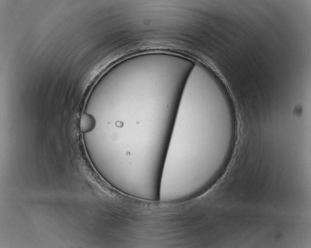 X0000116850786200912220941