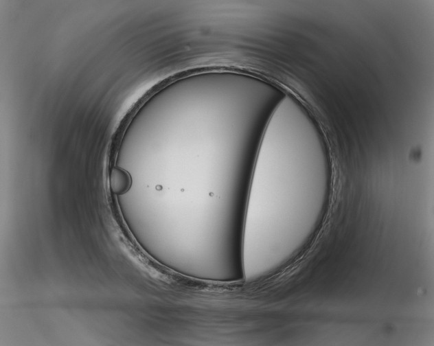 X0000116850788200912220941
