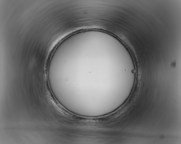 X0000116850789200912220941