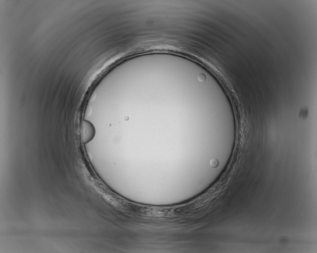 X0000116850790200912220941