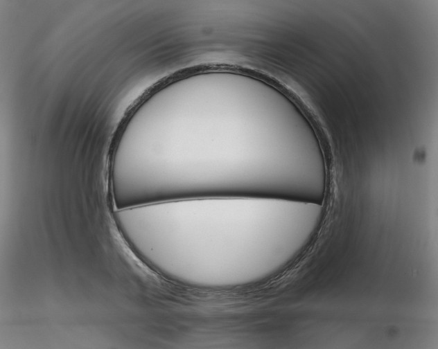 X0000116850791200912220941