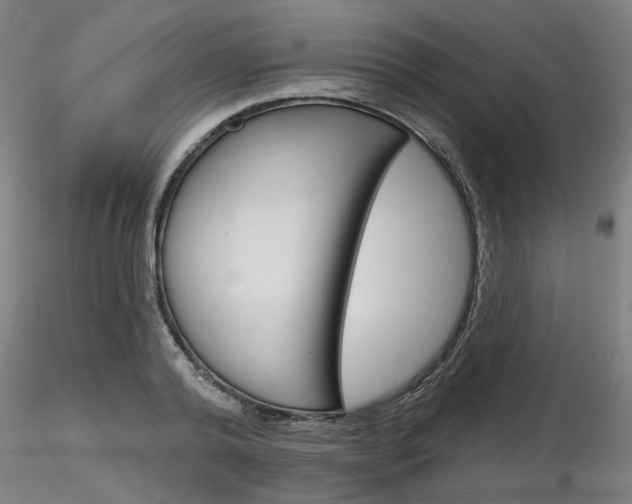 X0000116850792200912220941