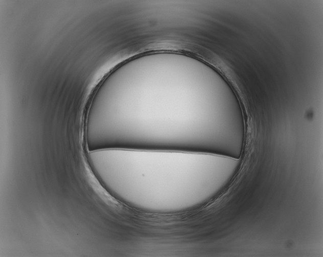 X0000116850795200912220941