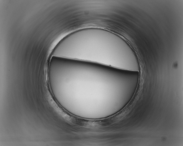 X0000116850796200912220941
