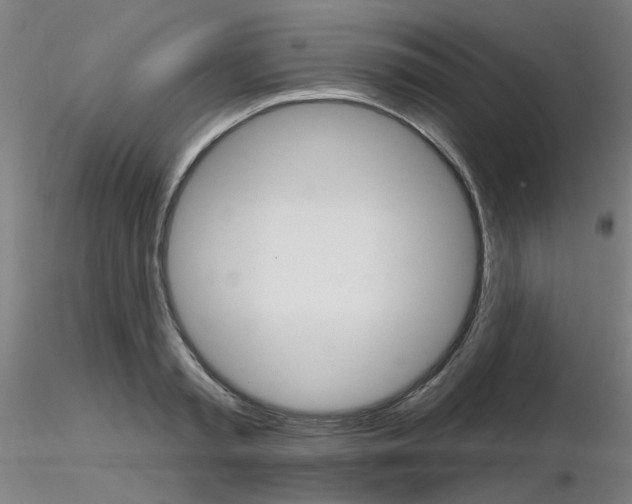 X0000116850797200912220941