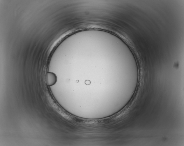 X0000116850798200912220941