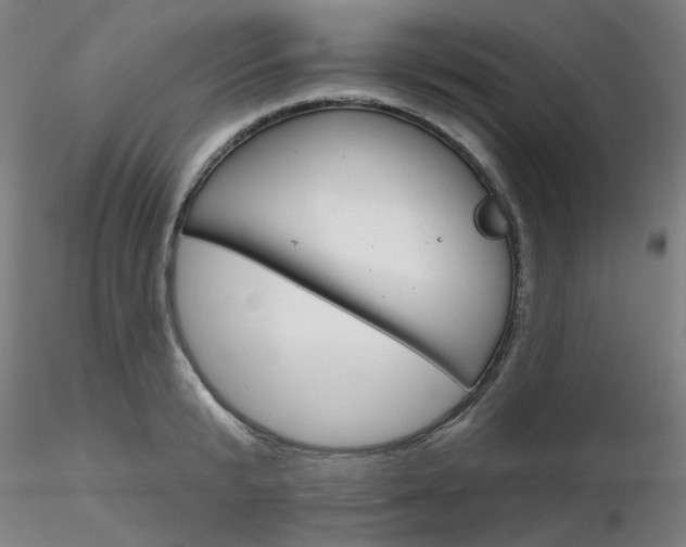 X0000116850799200912220940