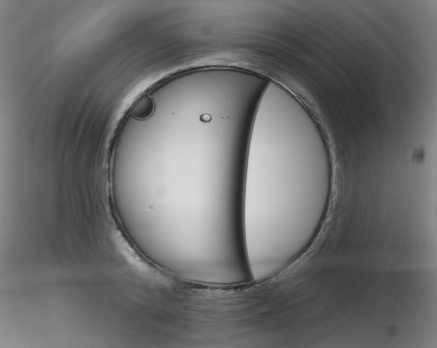 X0000116850800200912220940