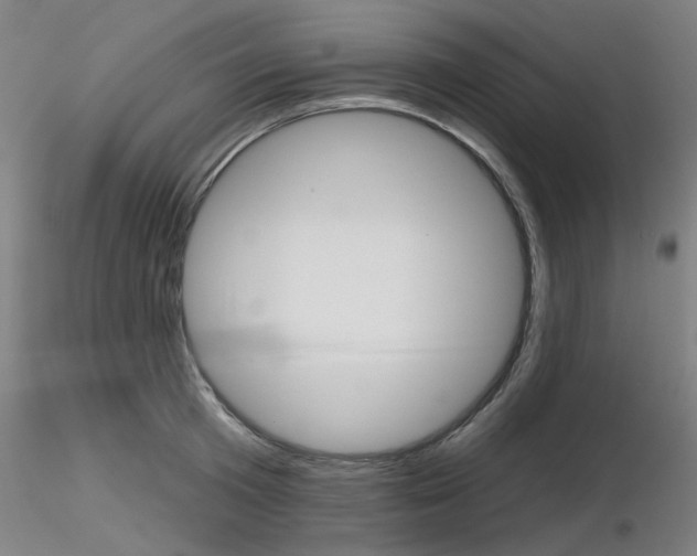 X0000116850801200912220940