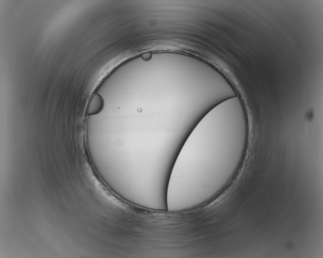 X0000116850802200912220940