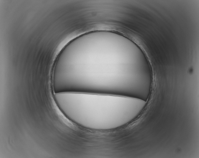 X0000116850803200912220940