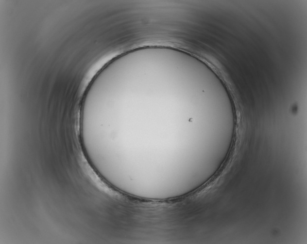 X0000116850804200912220940