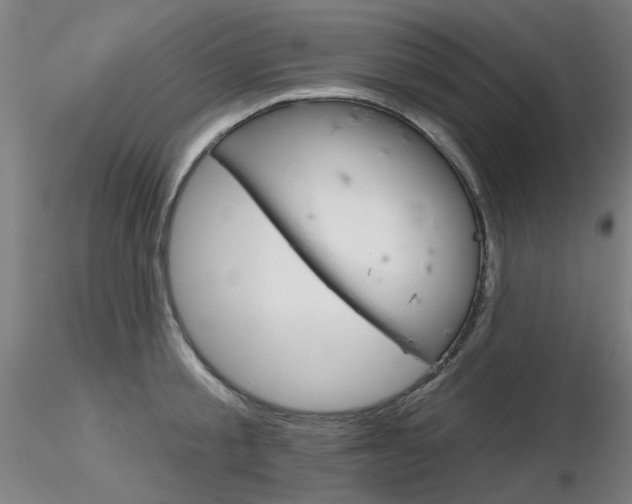 X0000116850805200912220940