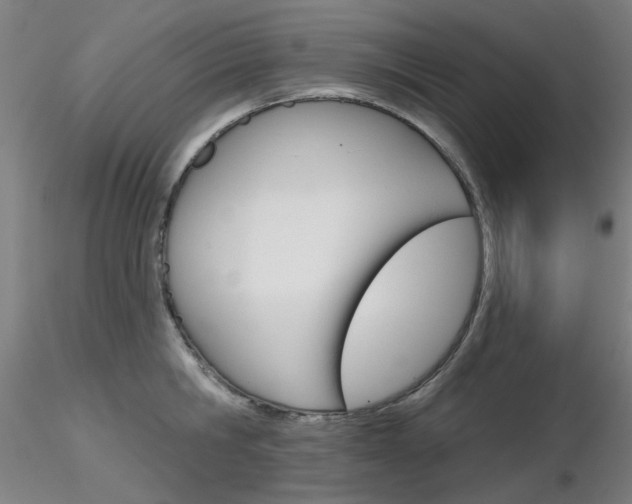 X0000116850806200912220940