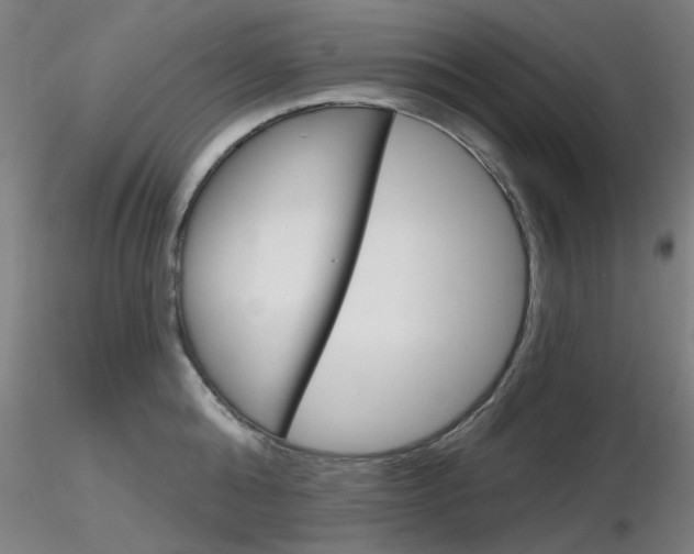 X0000116850808200912220940