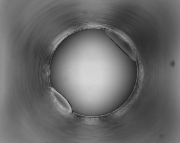 X0000116850809200912220940