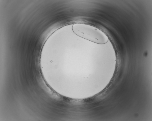 X0000116850810200912220940
