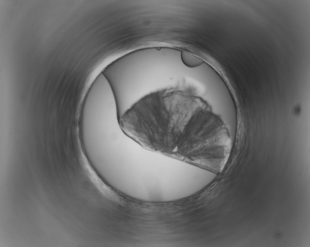 X0000116850811200912220940