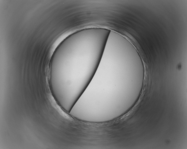 X0000116850812200912220940